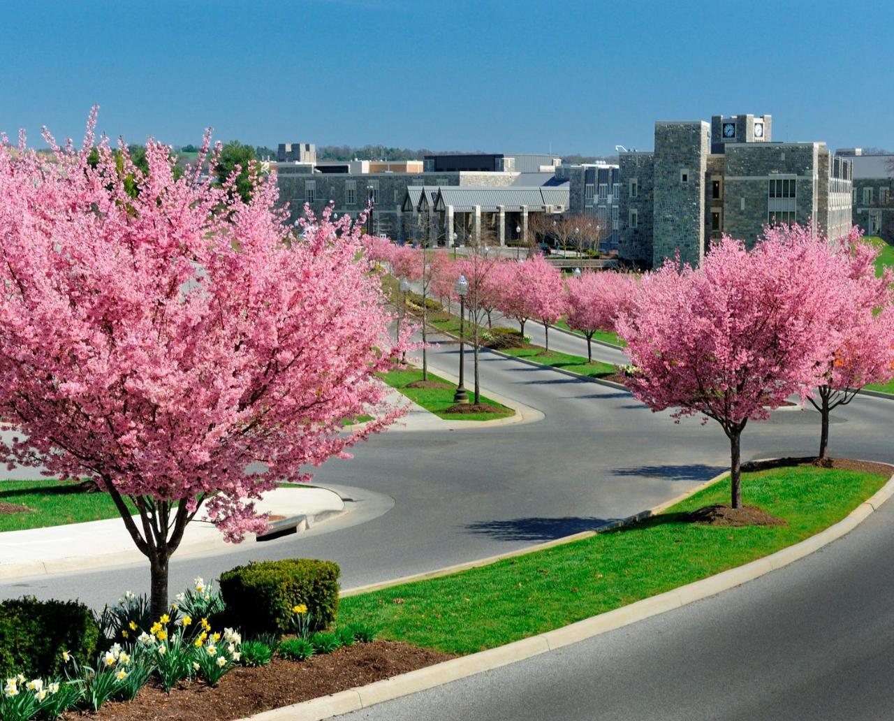 The Inn At Virginia Tech - On Campus Blacksburg Exterior photo